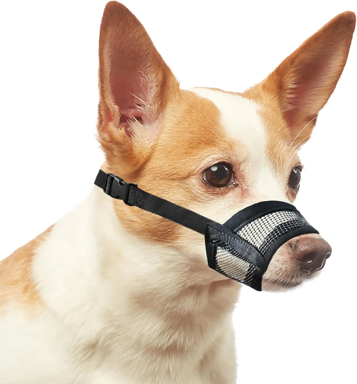 Adjustable Air Mesh Dog Muzzle for Various Breeds - Prevents Barking, Scavenging, Licking, and Chewing