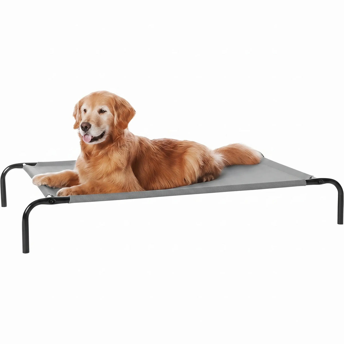Petitrinu Elevated Dog Bed with Metal Frame - Breathable Textilene Mesh Fabric for Cooling and Joint Relief, Available in Two Sizes for Medium/Large Dogs