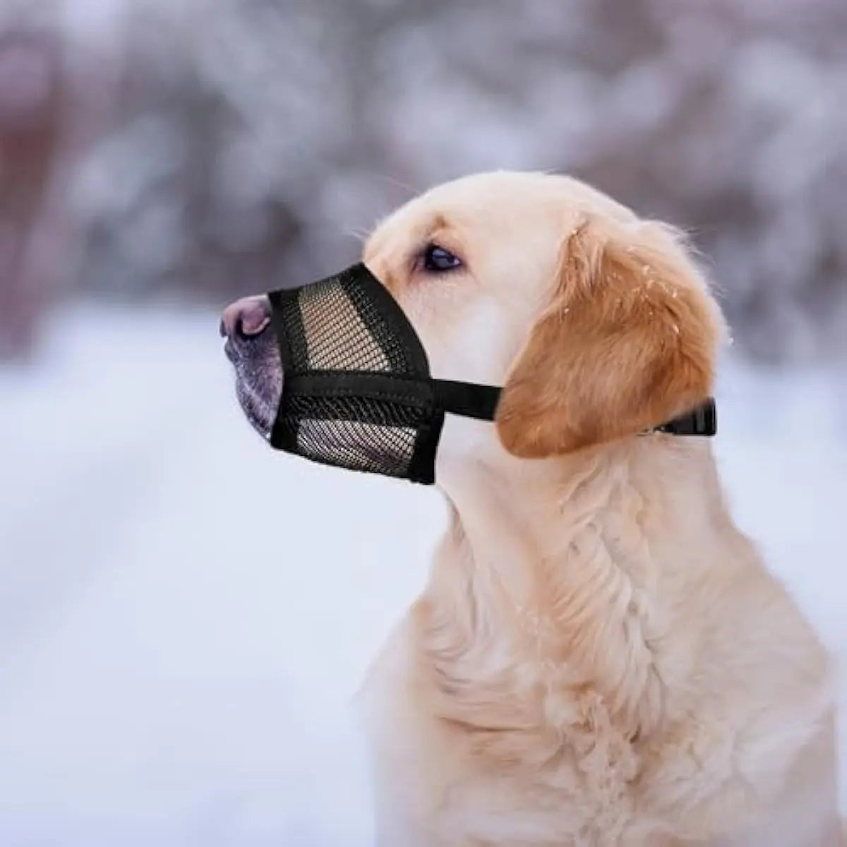 Adjustable Air Mesh Dog Muzzle for Various Breeds - Prevents Barking, Scavenging, Licking, and Chewing