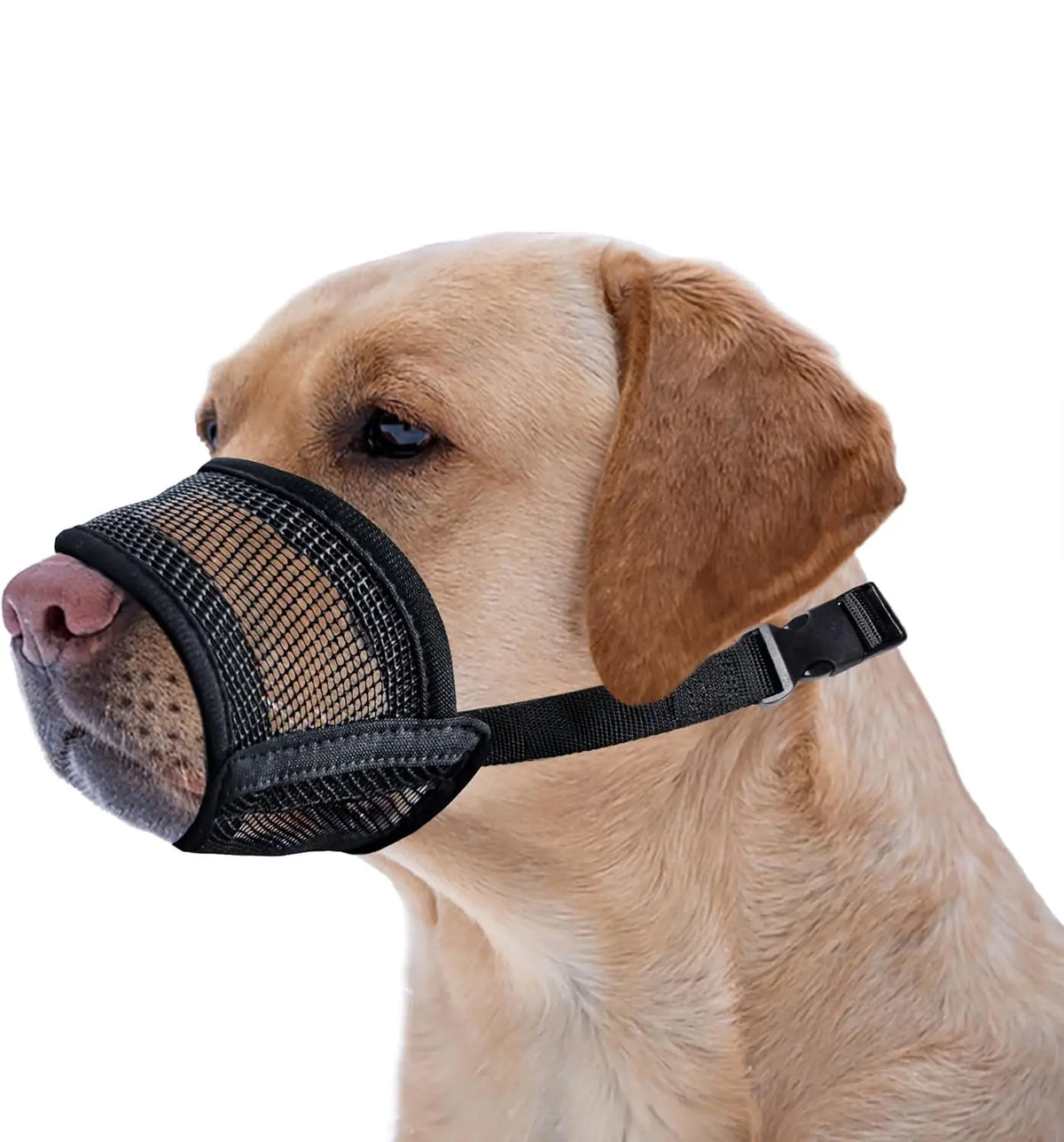 Adjustable Air Mesh Dog Muzzle for Various Breeds - Prevents Barking, Scavenging, Licking, and Chewing