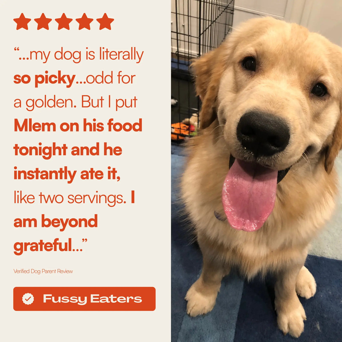 Mlem Beef Topper Spray for Dogs - Nutritional Enhancer for Canine Diets