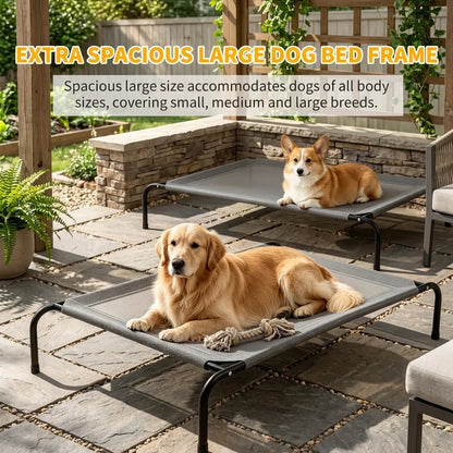 Petitrinu Elevated Dog Bed with Metal Frame - Breathable Textilene Mesh Fabric for Cooling and Joint Relief, Available in Two Sizes for Medium/Large Dogs