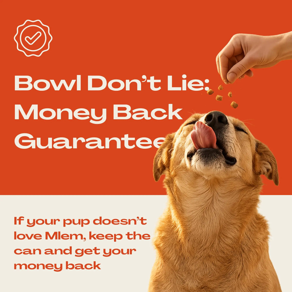 Mlem Beef Topper Spray for Dogs - Nutritional Enhancer for Canine Diets