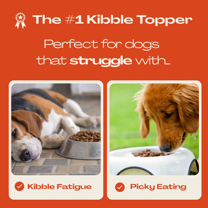 Mlem Beef Topper Spray for Dogs - Nutritional Enhancer for Canine Diets
